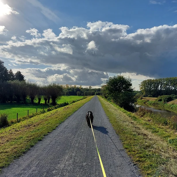 individuele uitlaatservice hond