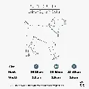 EN-US-Collar-SizeGuide-2000x2000.webp
