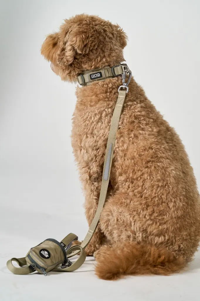 DogCPH_383.webp
