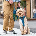 Lifestyle-Urban Trail Leash_1.webp