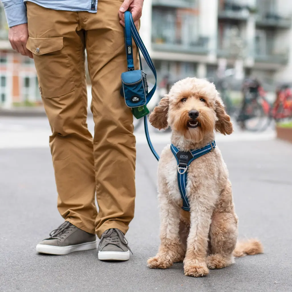 Lifestyle-Urban Freestyle Leash_5.webp