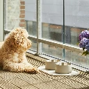 Lifestyle-Libra Placemat_3.webp
