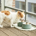 Lifestyle-Vega Bowl_7.webp