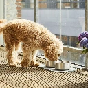 Lifestyle-Vega Bowl_5.webp