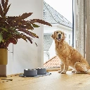 Lifestyle-Vega Bowl_9.webp