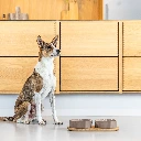 Lifestyle_Kronborg Food Bar_8.webp