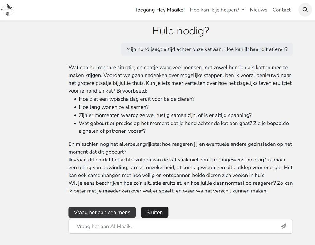 Hond jaagt achter kat.webp