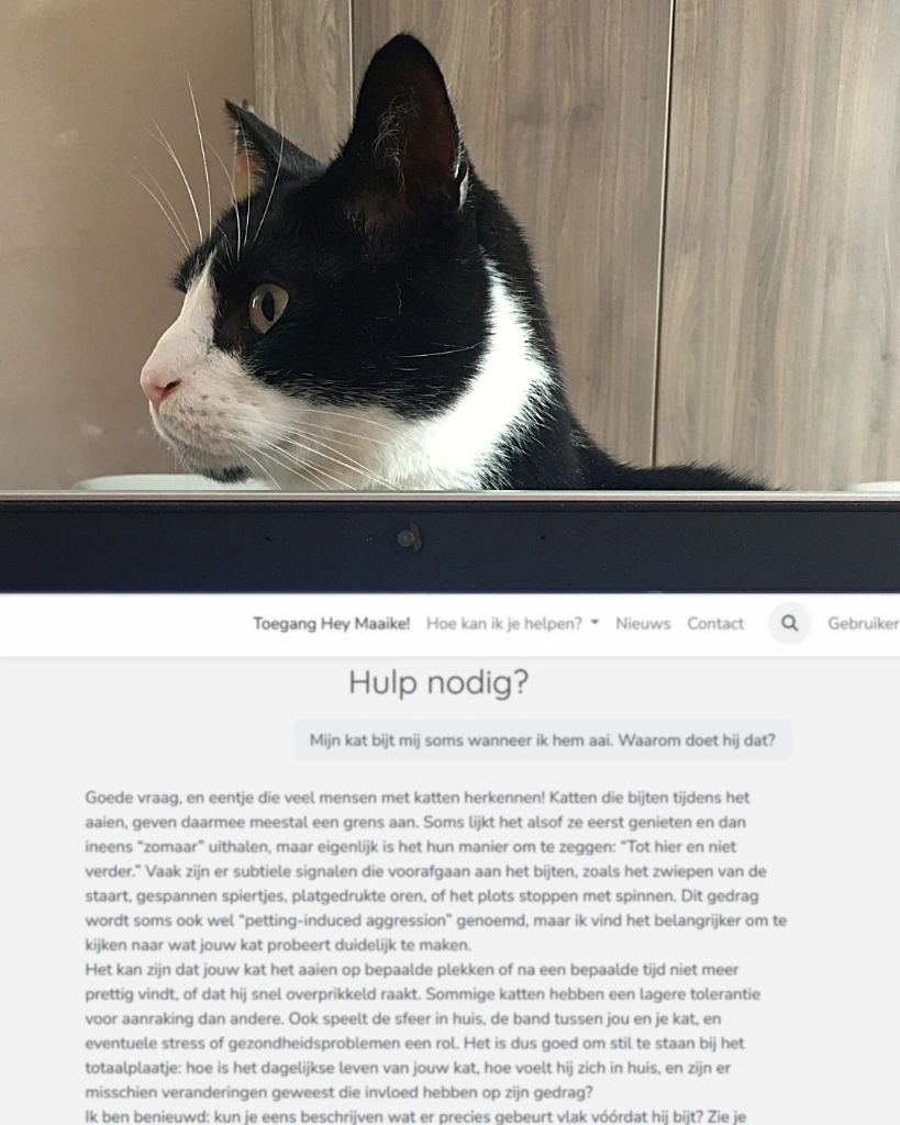 Advertentieafbeeldingen Hey Maaike!-3.webp
