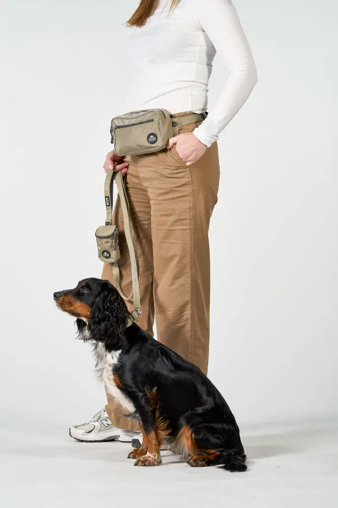 DogCPH_180.webp