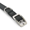 Urban Classic Collar-Black_3.webp