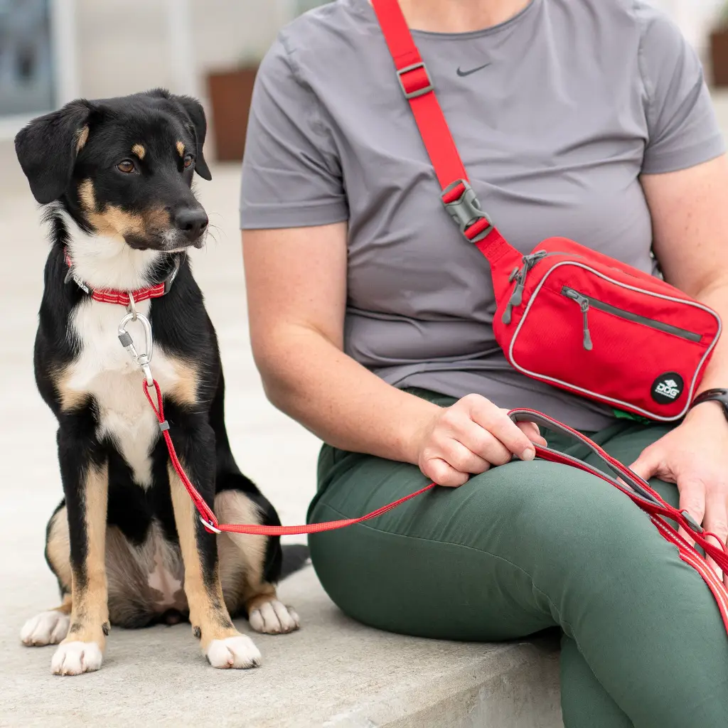 Lifestyle-Go Explore Belt Bag_4.webp