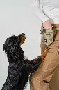 DogCPH_097.webp