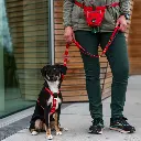 Lifestyle-Go Explore Treat Bag_4.webp