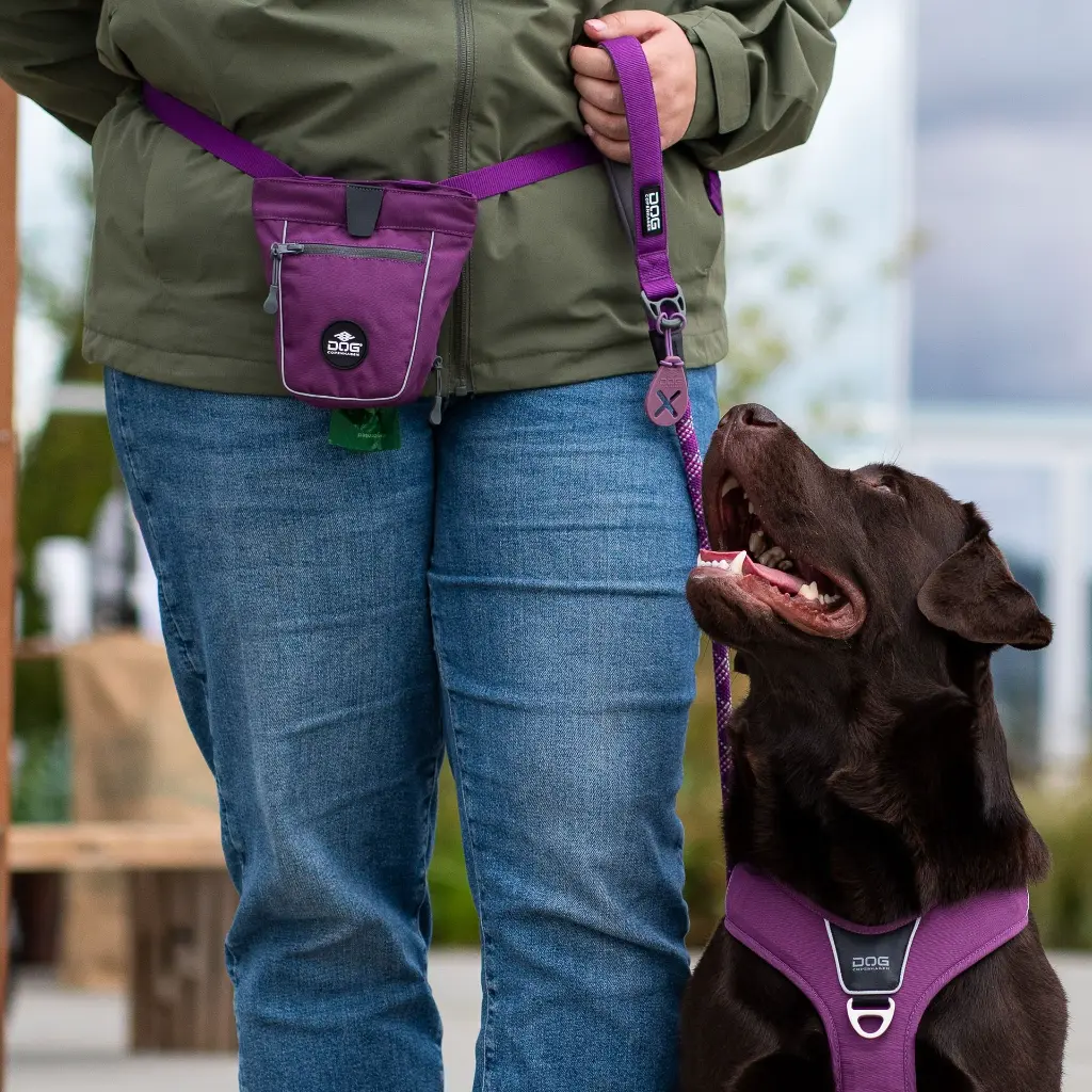 Lifestyle-Urban Rope Leash_2.webp