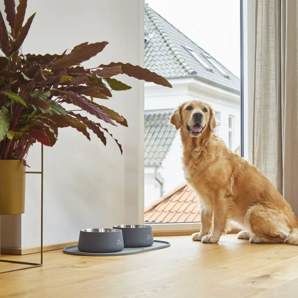 Lifestyle-Vega Bowl_9.webp
