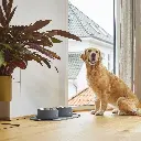 Lifestyle-Vega Bowl_9.webp