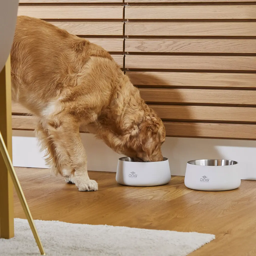 Lifestyle-Vega Bowl_2.webp