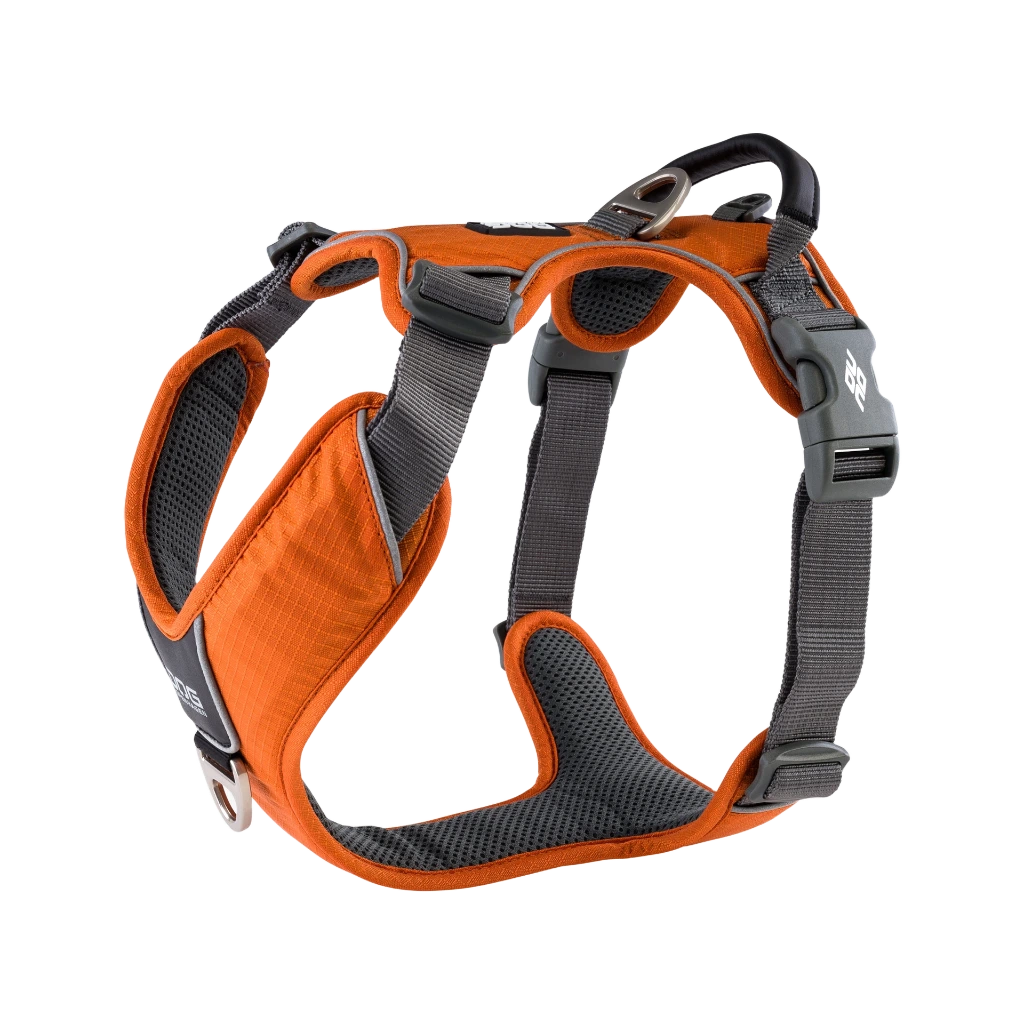 CWP-Harness-OrangeSun-V1.webp