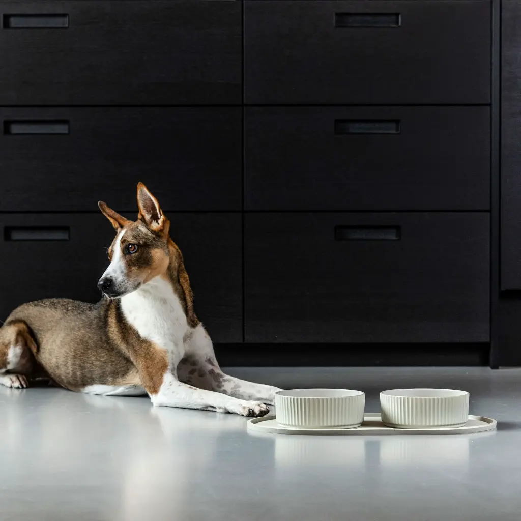 Lifestyle_Kronborg Bowl_1.webp