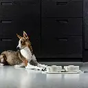 Lifestyle_Kronborg Bowl_1.webp