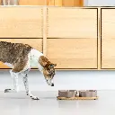 Lifestyle_Kronborg Food Bar_1.webp