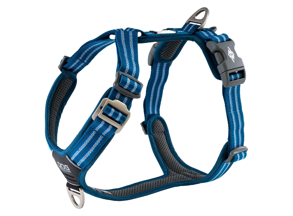CWA-Harness-OceanBlue-V1.webp