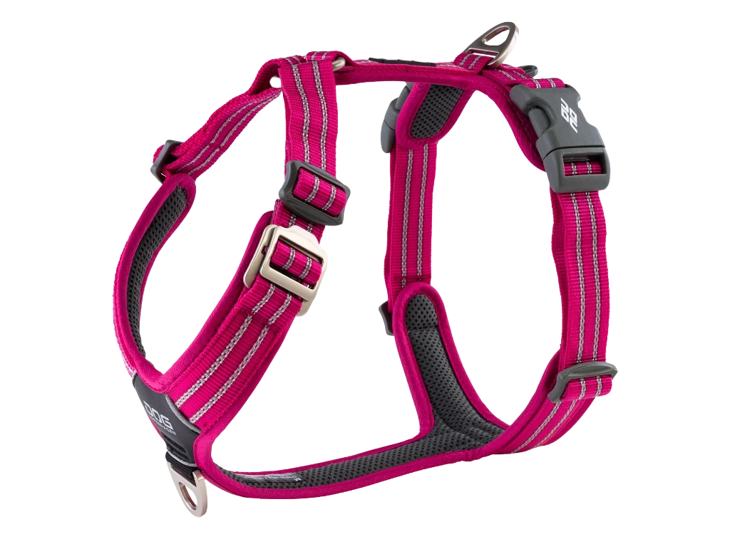 CWA-Harness-WildRose-V1.webp