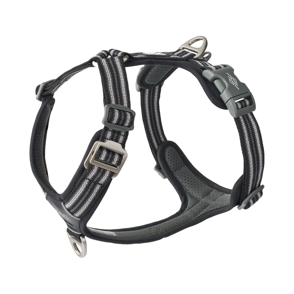 Comfort Walk Air Harness-Black_1.webp