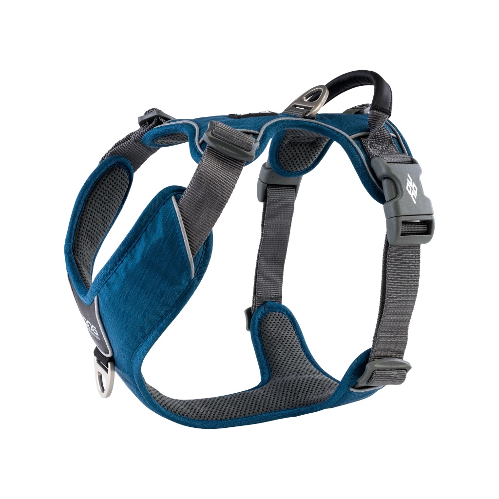 CWP-Harness-OceanBlue-V1.webp