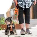Lifestyle-Comfort Walk Air Harness_5.webp