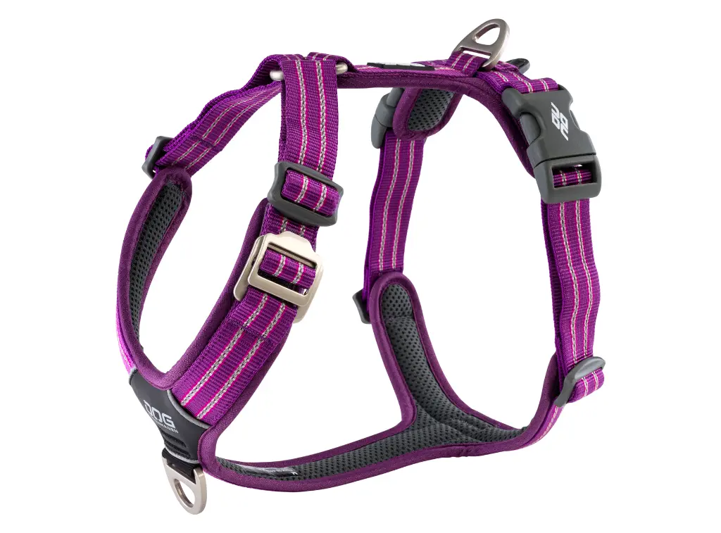 CWA-Harness-PurplePassion-V1.webp