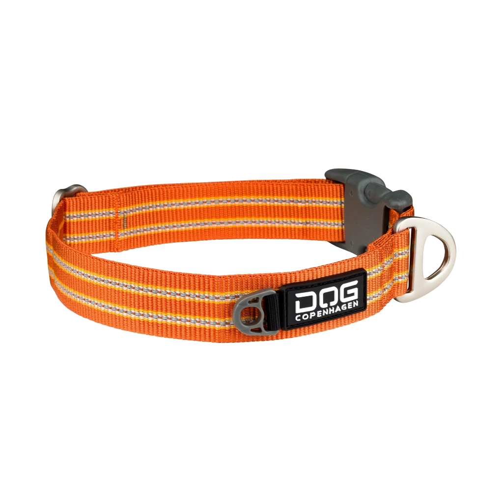 US-Collar-OrangeSun-V1.webp