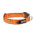 US-Collar-OrangeSun-V1.webp