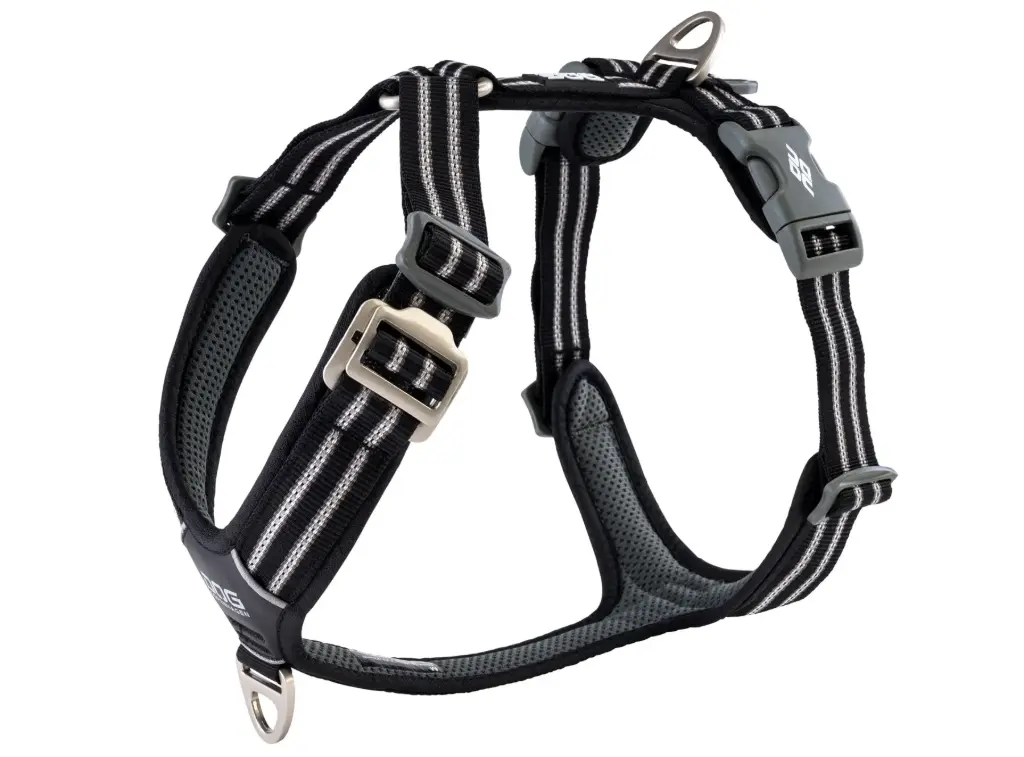 CWA-Harness-Black-V1.webp