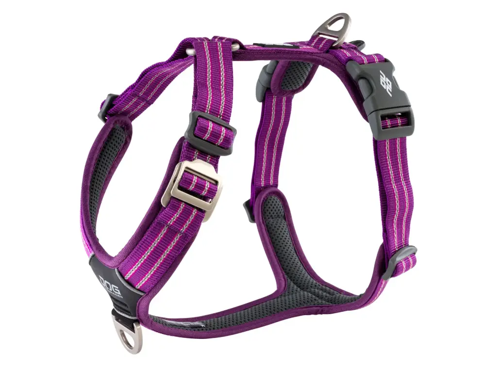 CWA-Harness-PurplePassion-V1.webp