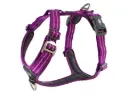 CWA-Harness-PurplePassion-V1.webp
