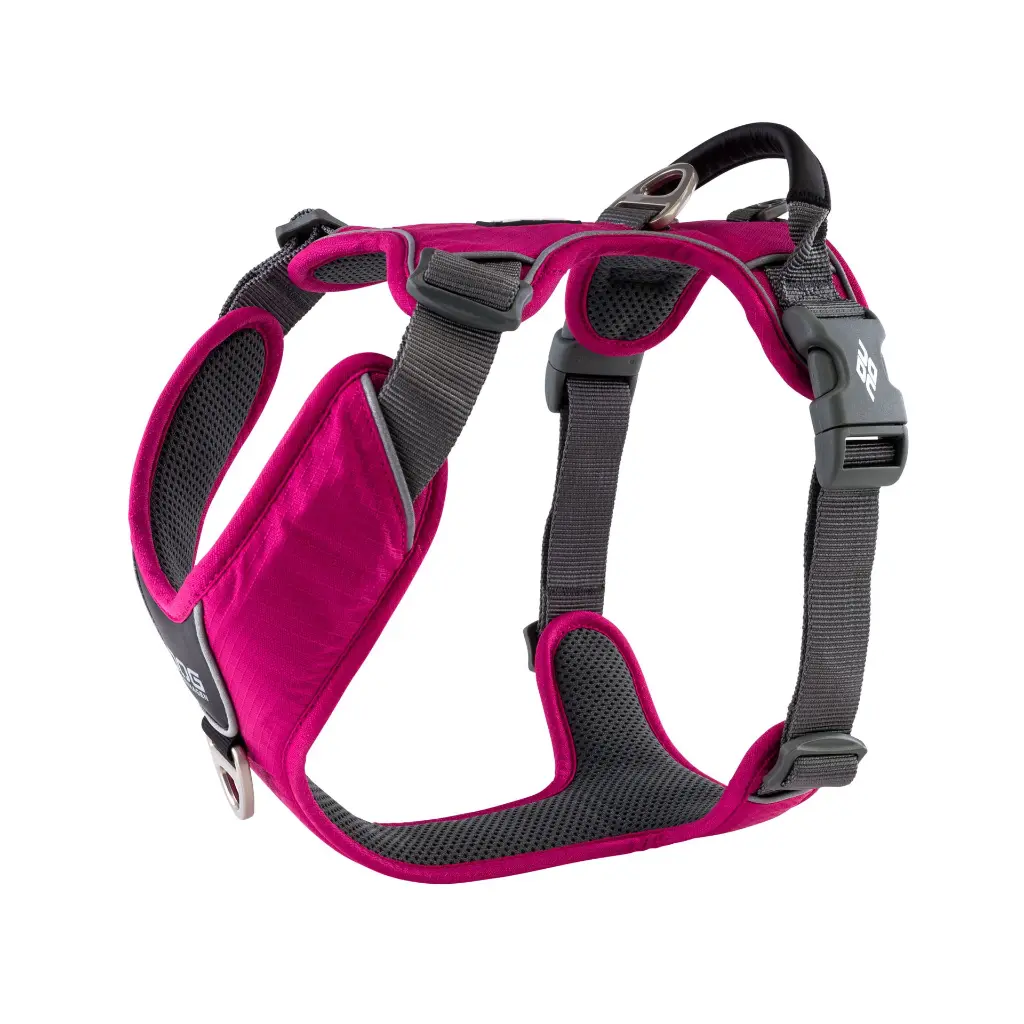 CWP-Harness-WildRose-V1-White.webp