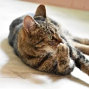 Individuele begeleiding