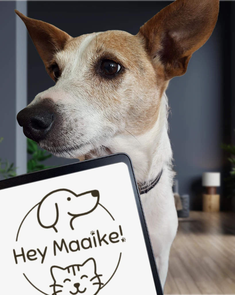 Hey Maaike!
