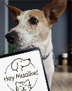 Hey Maaike!