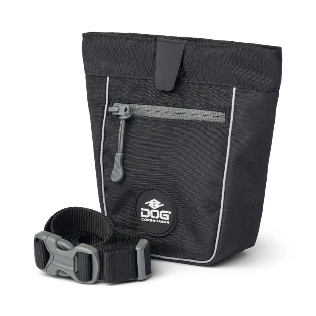 Go Explore™ Treat Bag