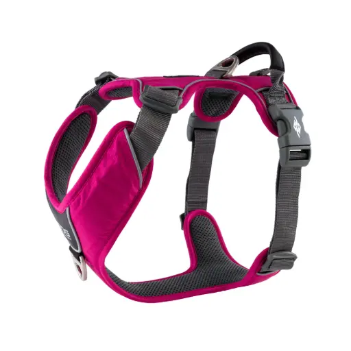 *Oude collectie* Comfort Walk Pro™ harnas XL