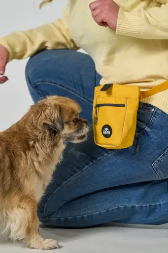 Go Explore™ Treat Bag